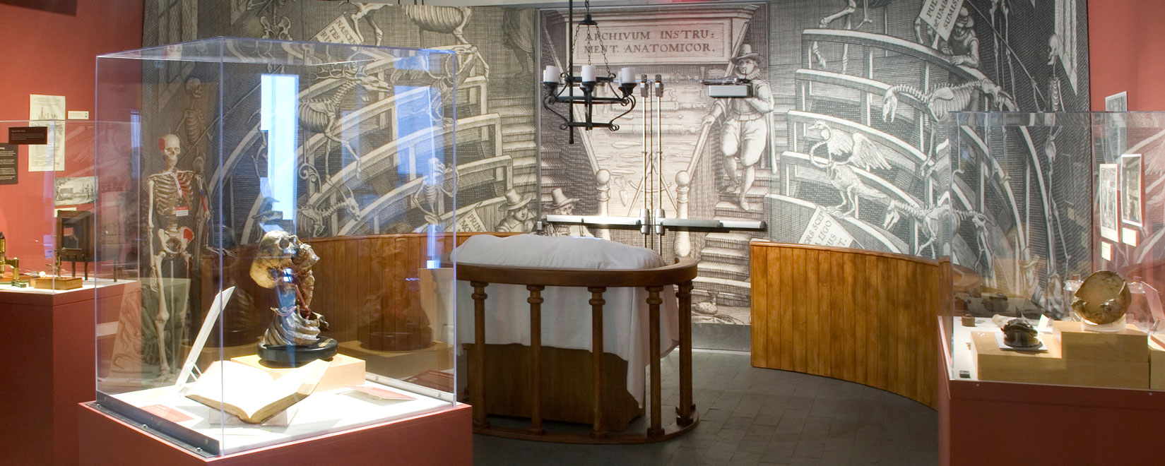 Anatomy Theatre in Gallery