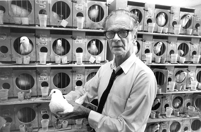 Skinner with pigeons
