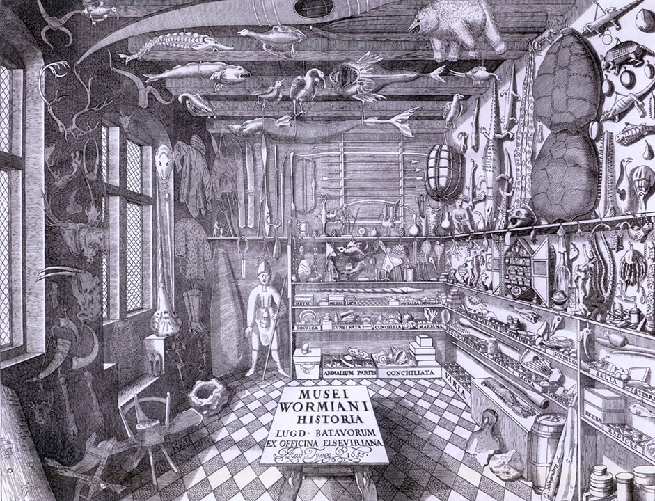 Musei Wormiani Historia